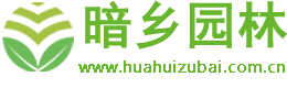 银川市暗乡花卉商城